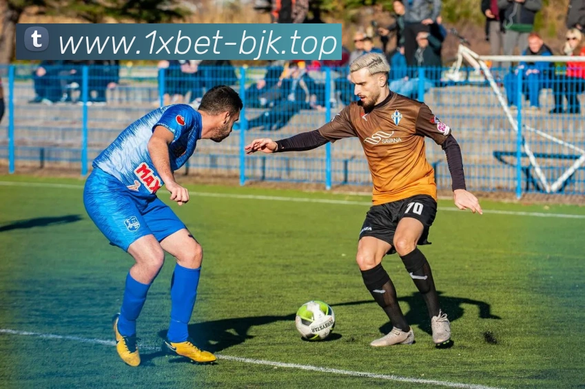 App Interface Preview